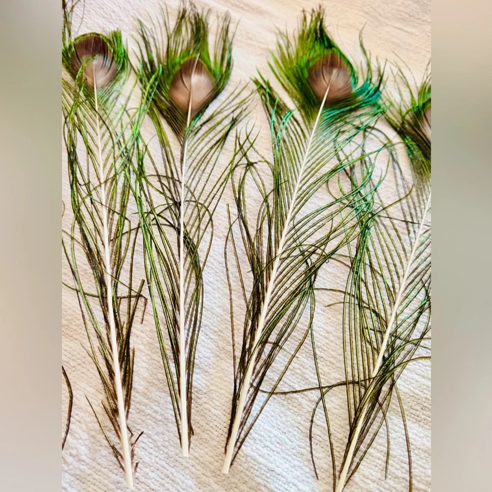 16” Big Eye Natural Peacock Feather Floral Home Decor & Arts Crafts 5 Feathers